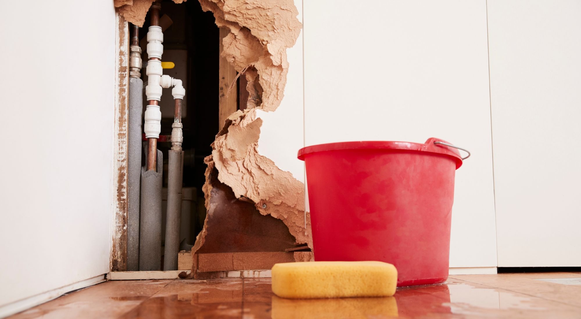 Reliable Water Damage Repair in Oregon City for Every Type of Water Emergency