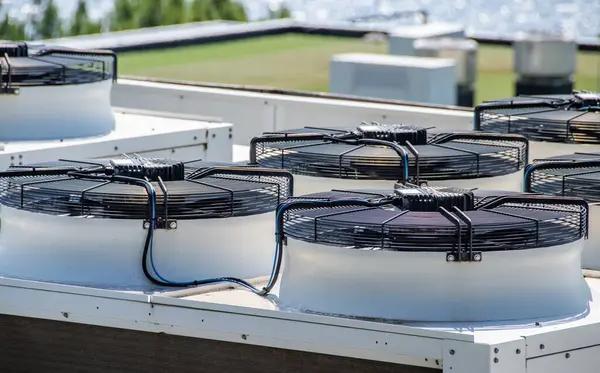 Roof Service Experts Delivering Durable and Trusted Results