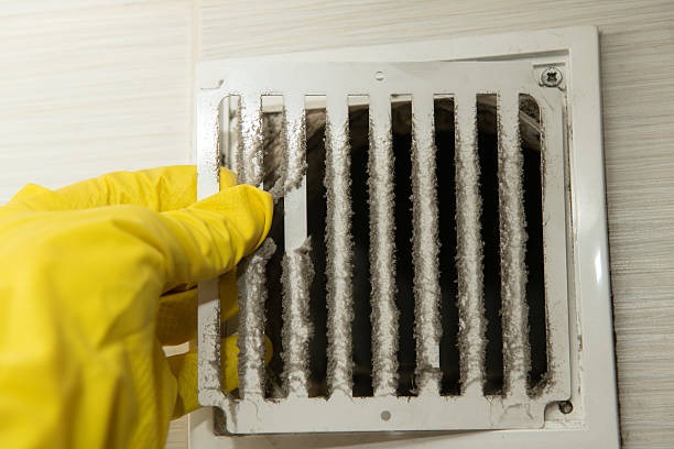 Professional Air Duct Cleaning Sebastian to Help Reduce Dust Buildup